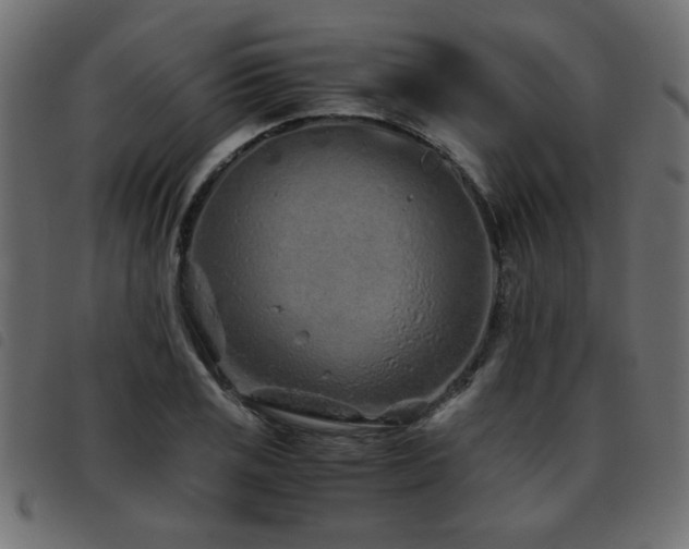 X0000093441125200710121327