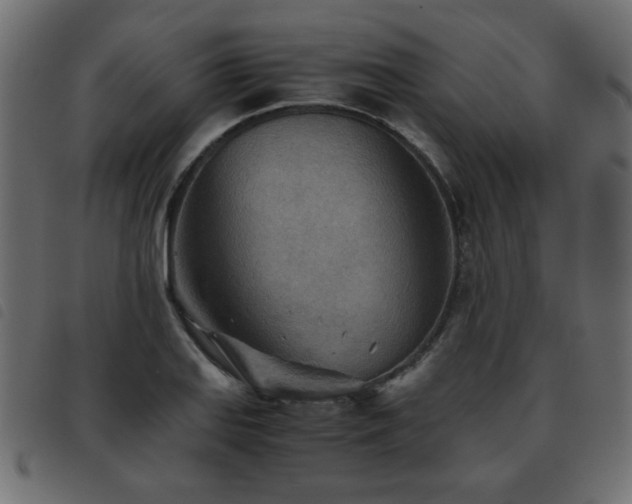 X0000093441127200710121327