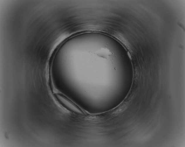 X0000093441128200710121327