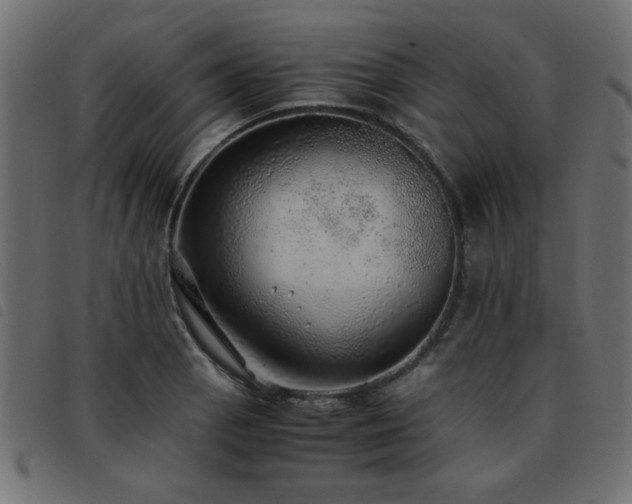 X0000093441129200710121327