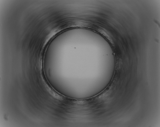 X0000093441130200710121327