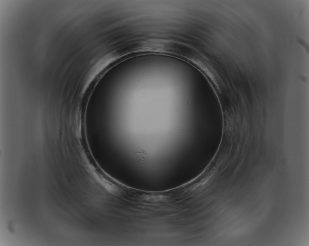 X0000093441131200710121327