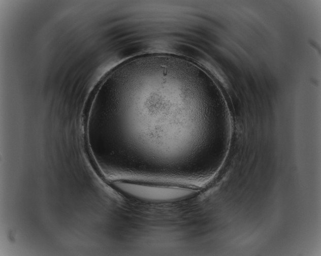 X0000093441133200710121327