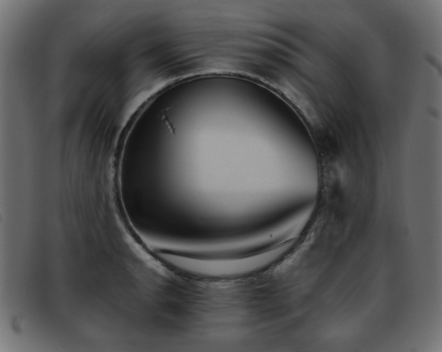 X0000093441134200710121327