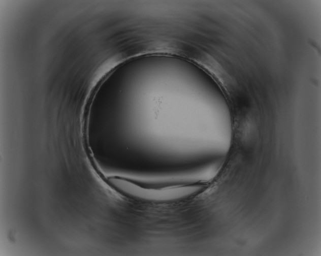 X0000093441135200710121327