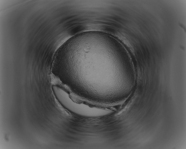 X0000093441137200710121327