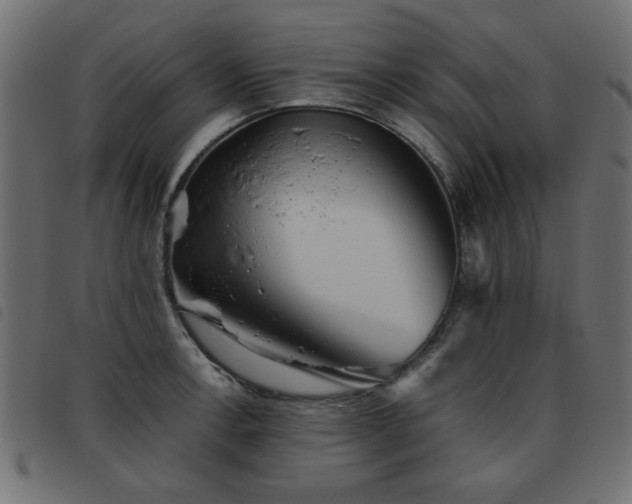 X0000093441138200710121327