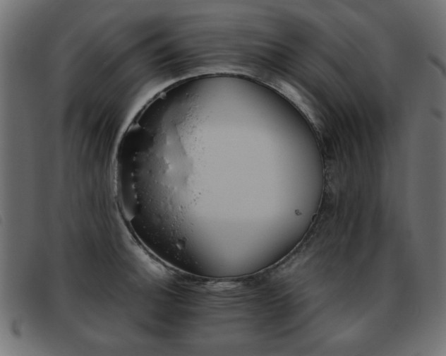 X0000093441140200710121327
