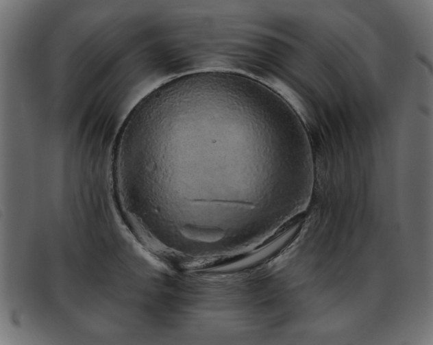 X0000093441142200710121327