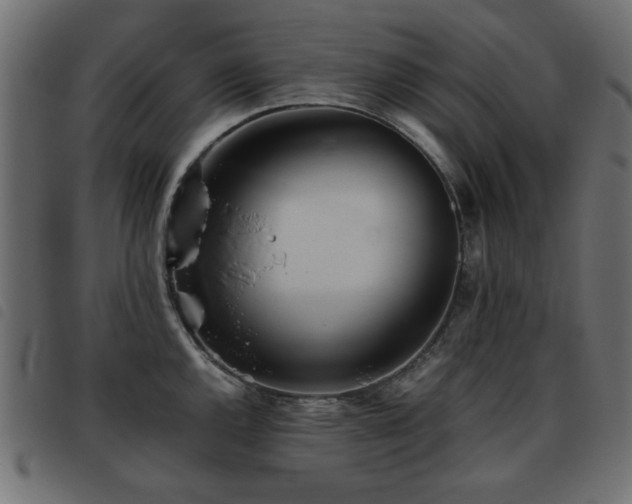 X0000093441144200710121327