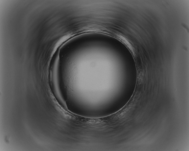 X0000093441146200710121327