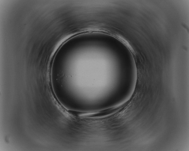 X0000093441148200710121328