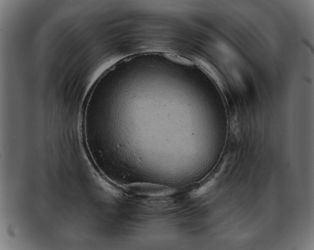 X0000093441149200710121328