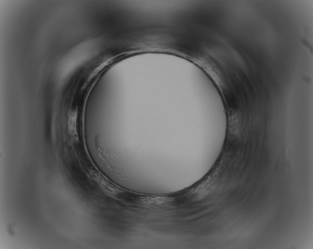 X0000093441150200710121328
