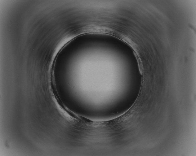 X0000093441152200710121328