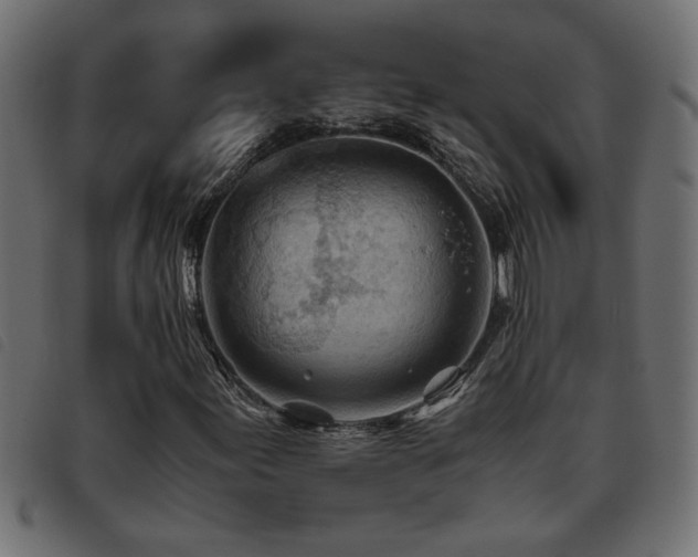 X0000093441155200710121327