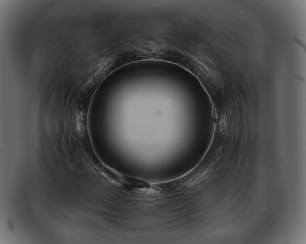 X0000093441156200710121327