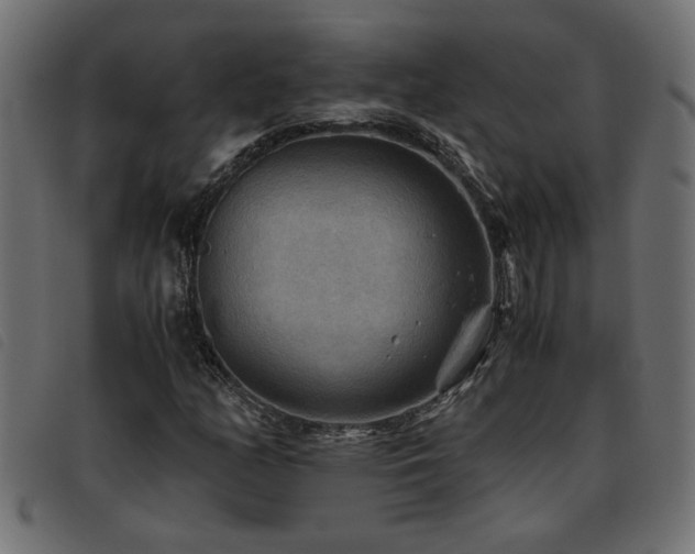 X0000093441158200710121327
