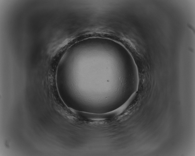 X0000093441159200710121327