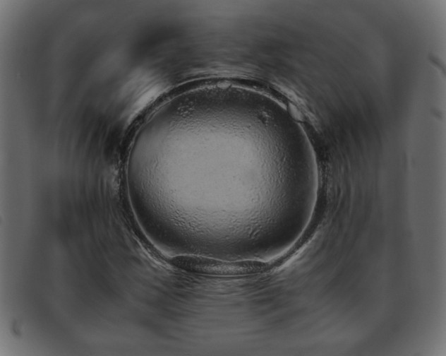 X0000093441163200710121327