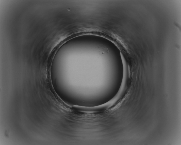 X0000093441165200710121327