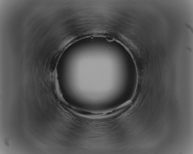 X0000093441169200710121327