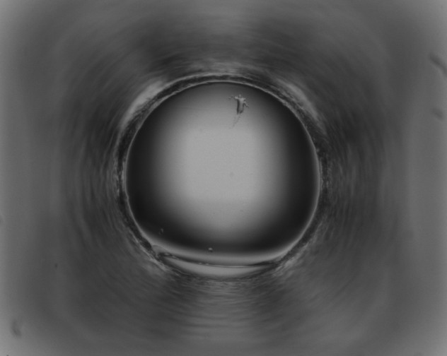 X0000093441172200710121327