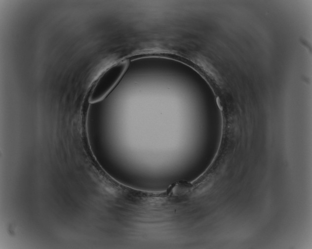 X0000093441173200710121327