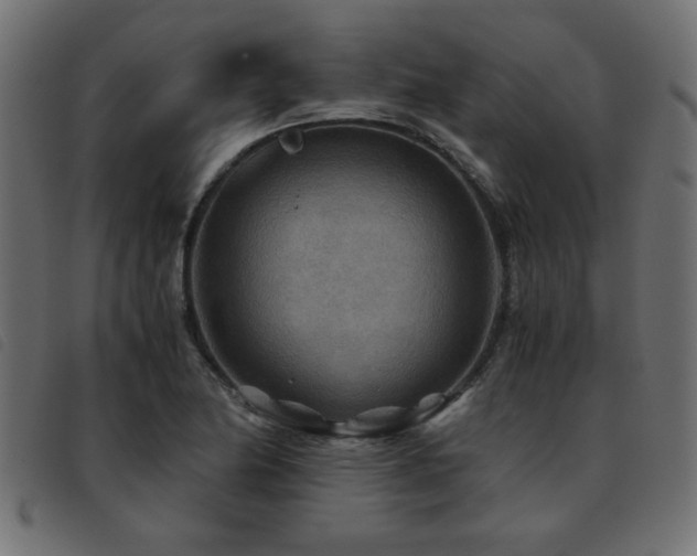 X0000093441174200710121327