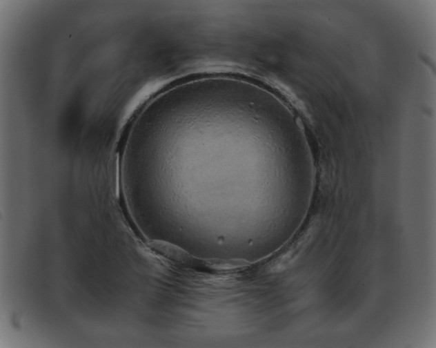 X0000093441175200710121327