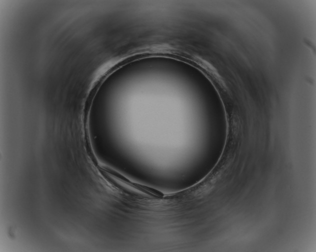 X0000093441176200710121327