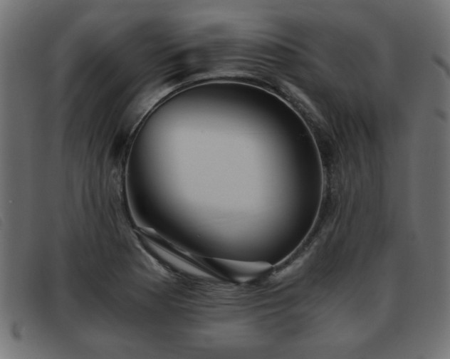 X0000093441177200710121327