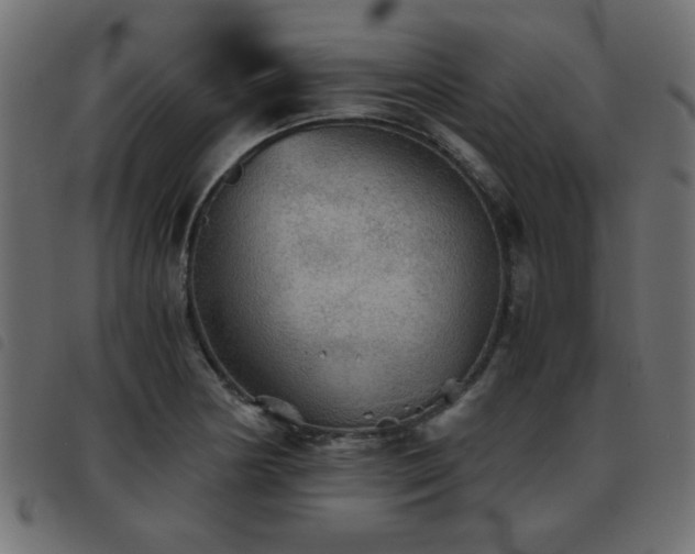 X0000093441178200710121327