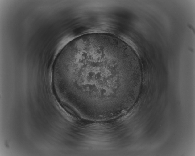 X0000093441179200710121327
