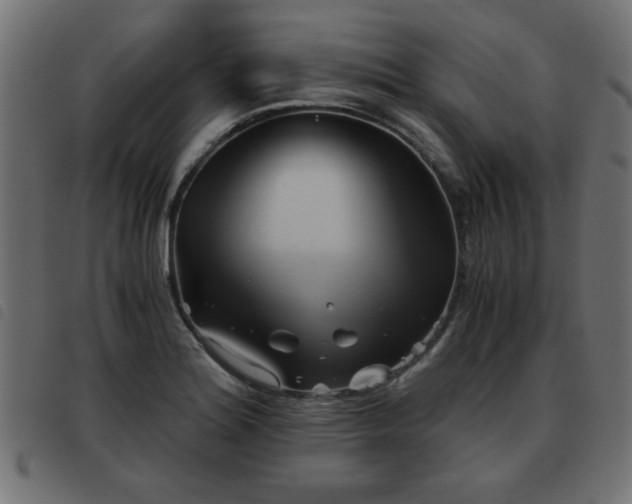 X0000093441180200710121327