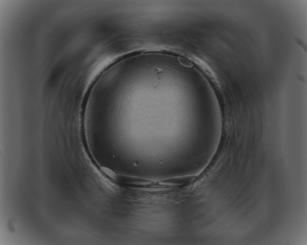 X0000093441183200710121327