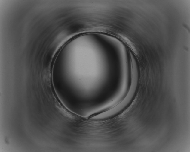 X0000093441184200710121326