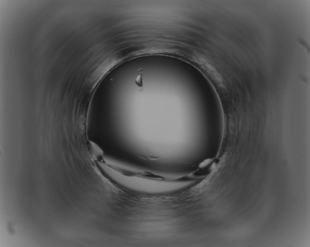 X0000093441185200710121326