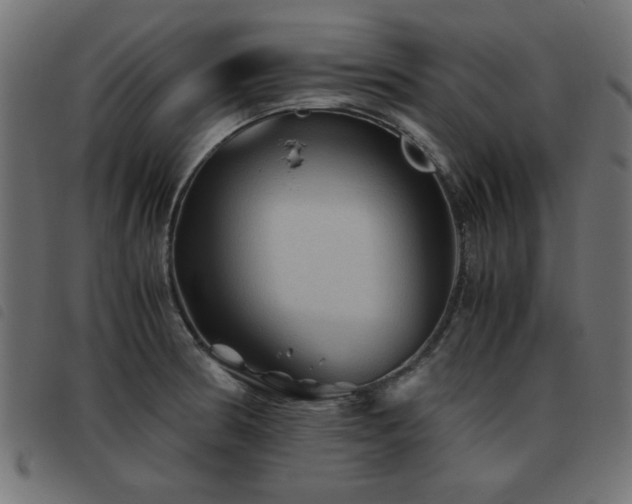 X0000093441186200710121326