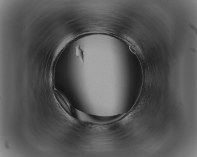 X0000093441188200710121326
