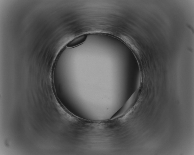 X0000093441189200710121326