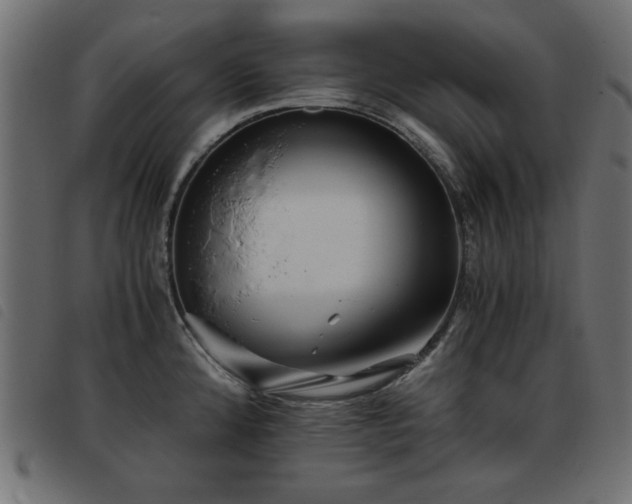 X0000093441192200710121326