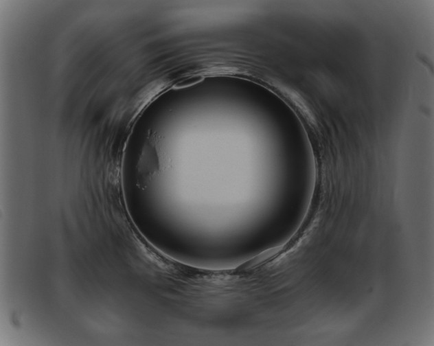 X0000093441193200710121326