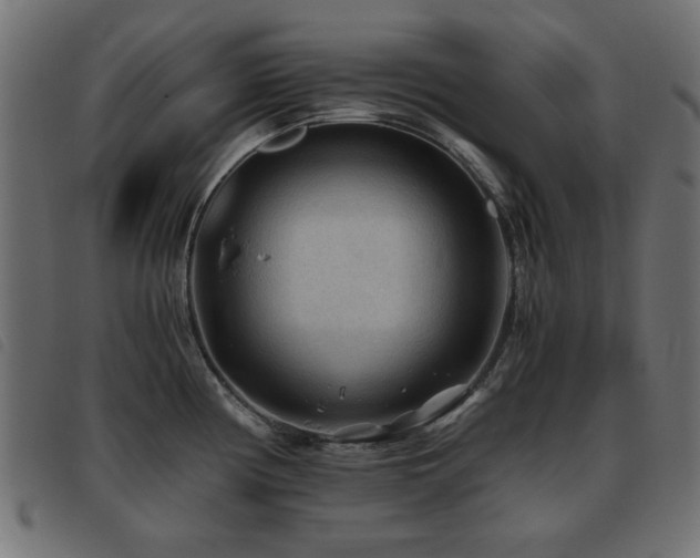 X0000093441194200710121326