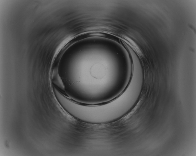 X0000093441196200710121326