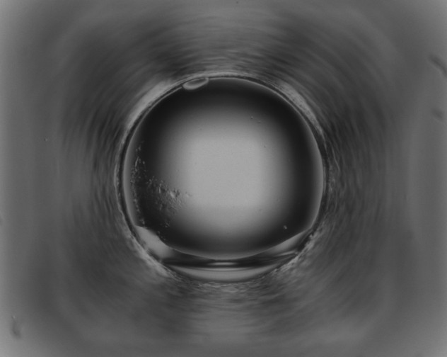 X0000093441197200710121326