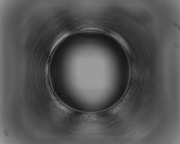 X0000093441198200710121326