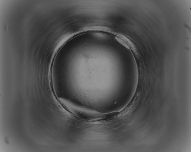 X0000093441199200710121326