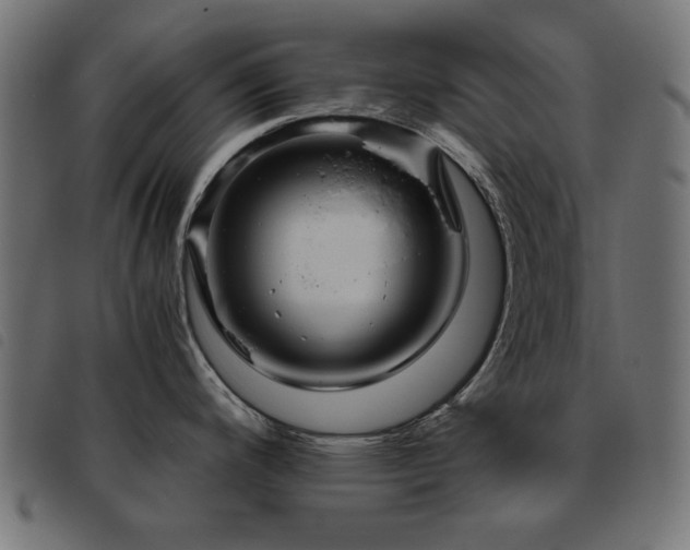 X0000093441200200710121326