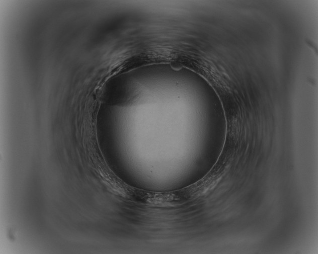 X0000093441201200710121326